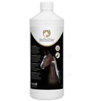 Excellent Excellent Equi Total Balance