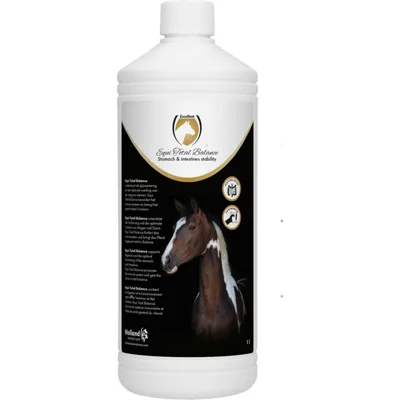 Excellent Excellent Equi Total Balance