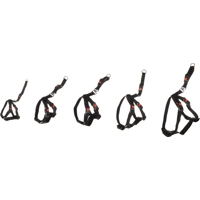 Flamingo Autoveiligheidsharnas Duma - L product name