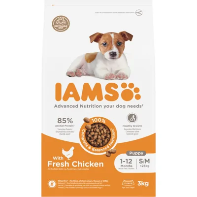 IAMS Dog Puppy - Junior Small - Medium Kip 3 kg