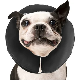 Zenpet Zenpet ProCollar - M