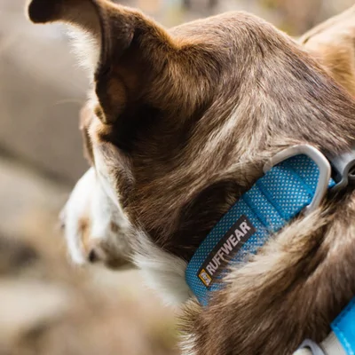 Ruffwear Hi & Light Collar - Sage Green - 23-28 cm