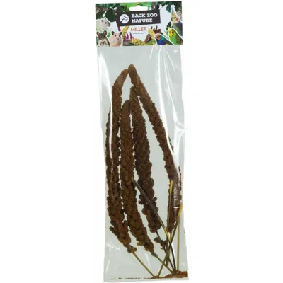 Back Zoo Nature Franse Trosgierst - Rood - 150 gram