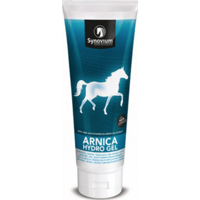 Synovium Arnica Hydro gel