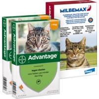 Elanco Preventiepakket Binnenkat 2 - 4 kg