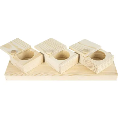 Back Zoo Nature Brain Trainer Cups