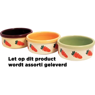 Rosewood Carrot Voerbak - 12,5 cm