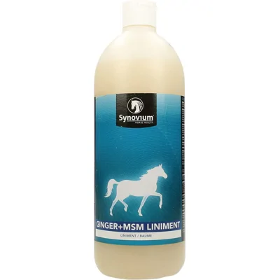 Synovium Ginger MSM Liniment