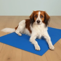 Koelmat maat XXL 120 x 80 cm Per 3